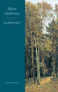 Luminisuri